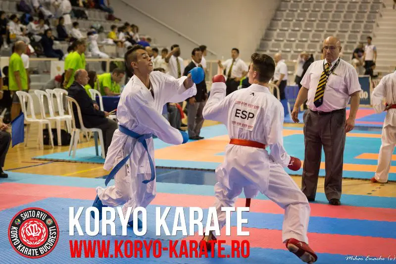 Campionatul Mondial - Koryo Karate