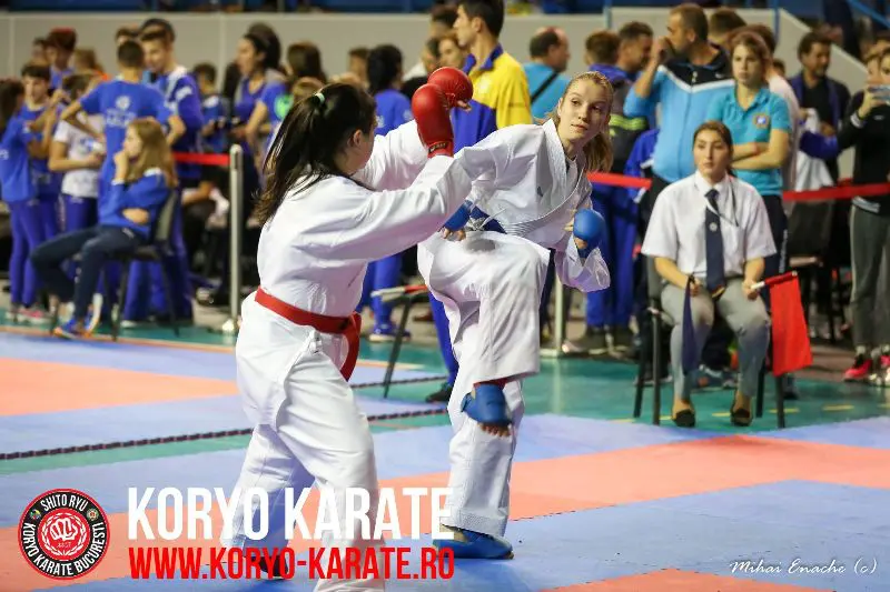 CN Karate Interstiluri 2017